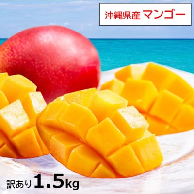 【2025年発送】訳あり・沖縄県産マンゴー1.5kg(3～6玉)
