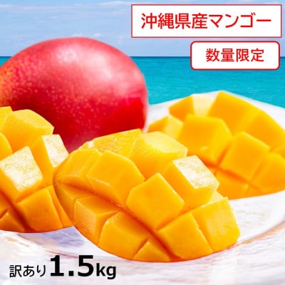 【2026年発送】数量限定　訳あり・沖縄県産マンゴー1.5kg(3～6玉)