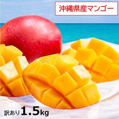 【2026年発送】訳あり・沖縄県産マンゴー1.5kg(3～6玉)
