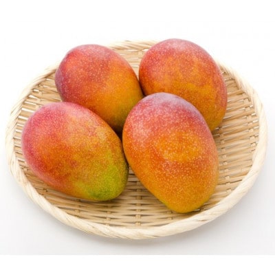 【2026年発送】訳あり・沖縄県産マンゴー1.5kg(3～6玉)