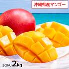 【2026年発送】訳あり・沖縄県産マンゴー2kg(4～6玉)