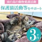 【南の島の動物愛護活動】保護猫活動等をサポート(3千円)ポストカード付き