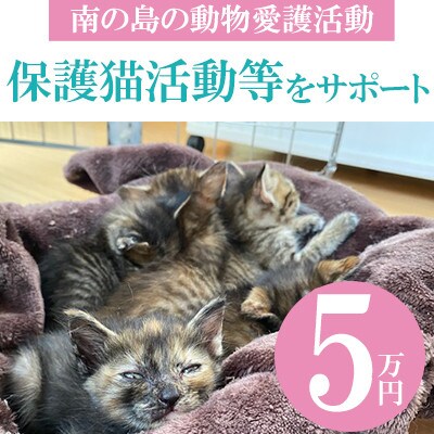 【南の島の動物愛護活動】保護猫活動等をサポート(5万円)ポストカード付き