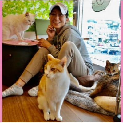 【南の島の動物愛護活動】保護猫活動等をサポート(5万円)ポストカード付き