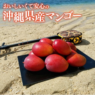 【化粧箱入】【先行受付・2025年発送】伊集農園 沖縄県産マンゴー(贈答用)約1kg(2～3玉)