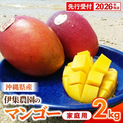【先行受付】【2026年発送】伊集農園 沖縄県産マンゴー ご家庭用 約2kg(3～8玉)