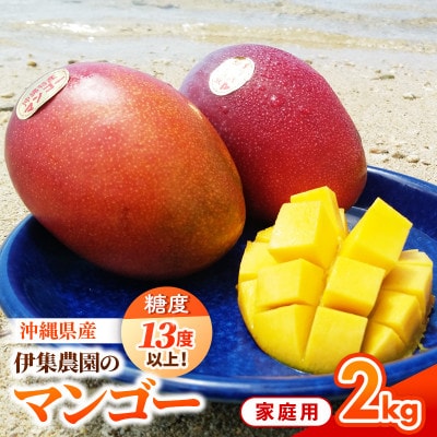 【先行受付】【2027年発送】伊集農園 沖縄県産マンゴー ご家庭用 約2kg(3～8玉)