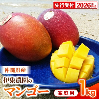 伊集農園マンゴーご家庭用約1kg