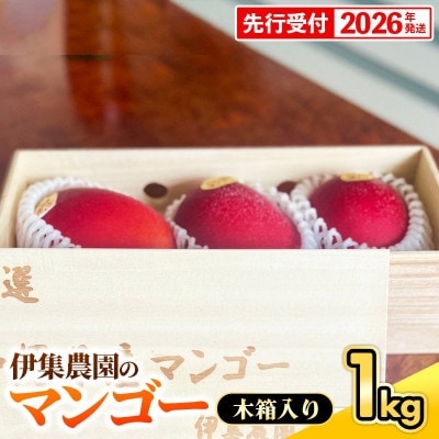 伊集農園マンゴー贈答用木箱約1kg(2～3玉)