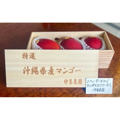 伊集農園マンゴー贈答用木箱約1kg(2～3玉)