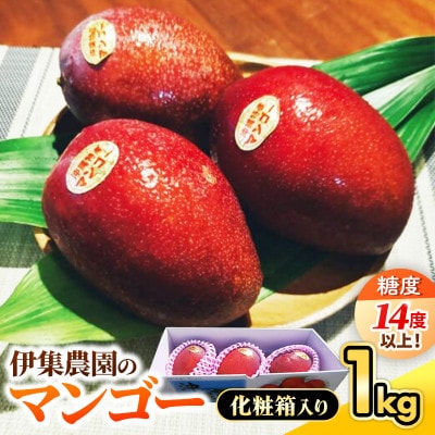 【先行受付】【2027年発送】伊集農園マンゴー贈答用約1kg(2～3玉)