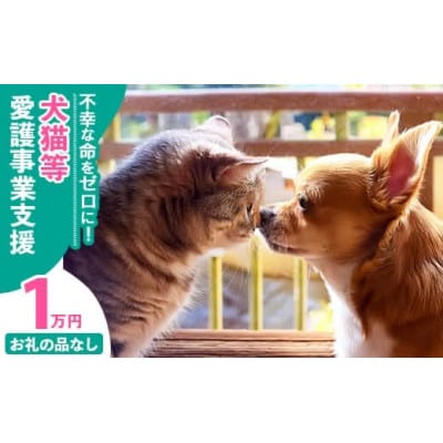 【返礼品なし】【南の島の動物愛護活動】犬と猫と人にとって住みよい社会づくりをサポート