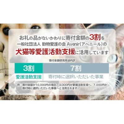 【返礼品なし】【南の島の動物愛護活動】犬と猫と人にとって住みよい社会づくりをサポート(1千円)