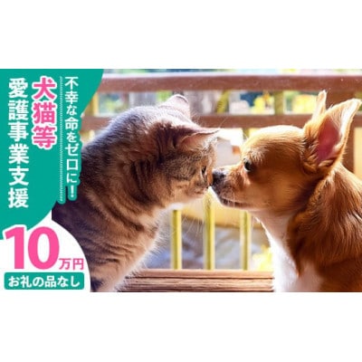 【返礼品なし】【南の島の動物愛護活動】犬と猫と人にとって住みよい社会づくりをサポート(10万円)