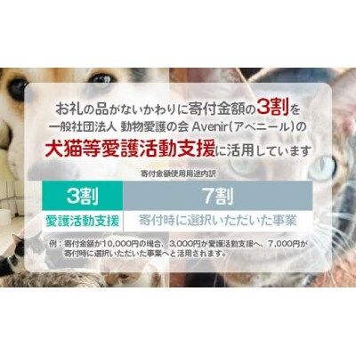 【返礼品なし】【南の島の動物愛護活動】犬と猫と人にとって住みよい社会づくりをサポート(10万円)