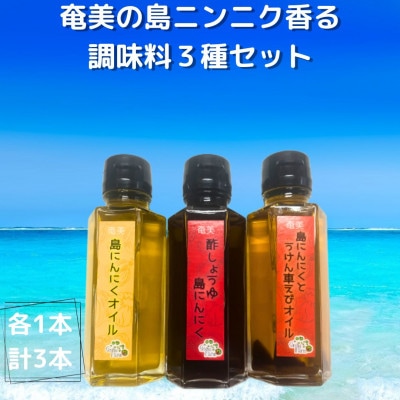 奄美の島ニンニクが香る　調味料3種セット