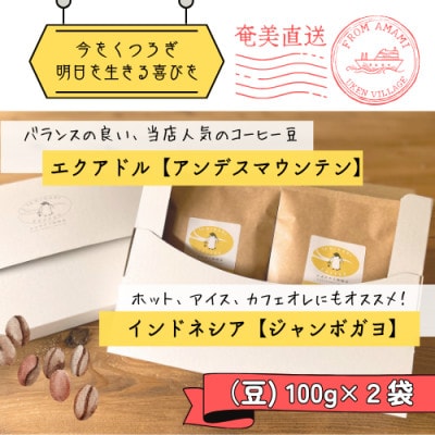 奄美大島〈とよひかり珈琲店〉店主オススメの自家焙煎コーヒー豆2種類　各100g(豆のまま)