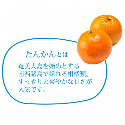 すっきりれんとたんかんフレーバー (15度) 500ml×3本(宇検村)