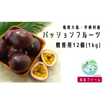 【先行受付】2024年6月～出荷開始・奄美大島宇検村産パッションフルーツ贈答用(12個入×1箱)