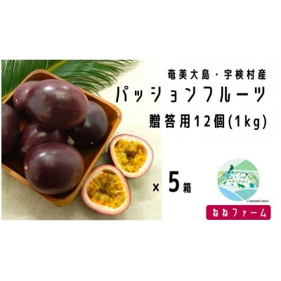 【先行受付】2024年6月～出荷開始・奄美大島宇検村産パッションフルーツ贈答用(1箱12個入×5箱)