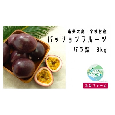 【先行受付】2024年6月～出荷開始・パッションフルーツ(バラ詰め　3kg)