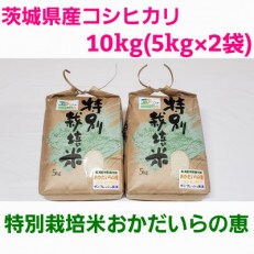 【令和4年産】茨城県産コシヒカリ 特別栽培米おかだいらの恵10kg 精米(5kg×2袋)