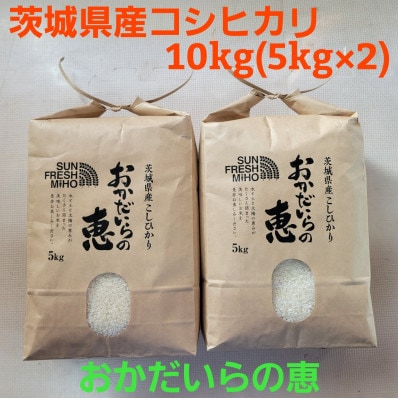 【令和7年産】茨城県産コシヒカリ おかだいらの恵10kg 精米(5kg×2袋)