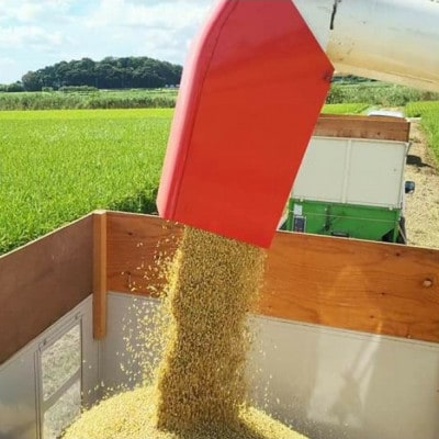 【令和6年産】茨城県産コシヒカリ 特別栽培米おかだいらの恵10kg　精米(5kg×2袋)
