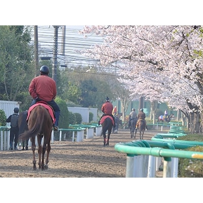 【令和5年産】美浦村産厳選良質米「コシヒカリ」5kg
