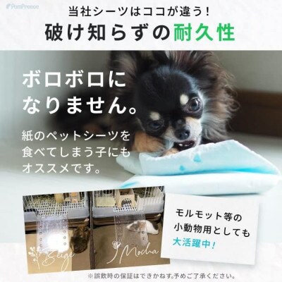 ペット用 洗える制菌ペットシーツ M(50×70cm)(ストロベリー&ハグベア)1枚[美浦村]