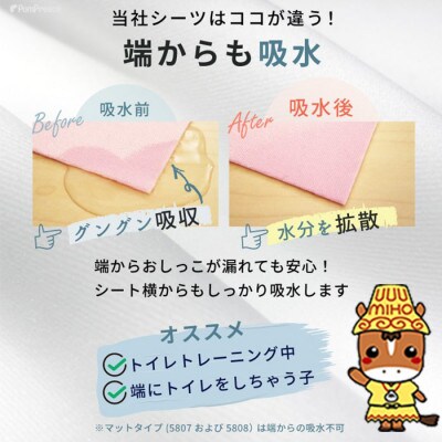 ペット用 洗える制菌ペットシーツ L(65×100cm)(ストロベリー&ハグベア)1枚[美浦村]