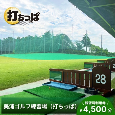 美浦ゴルフ練習場(打ちっぱ)練習場利用券 4,500円分 ゴルフ練習場 打ちっぱなし UP12