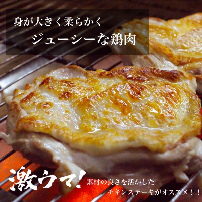 国産ブランド 匠美鶏 ムネ・モモ各1kgセット 計2kg 鶏肉  ムネ肉 モモ肉 冷凍  UF09