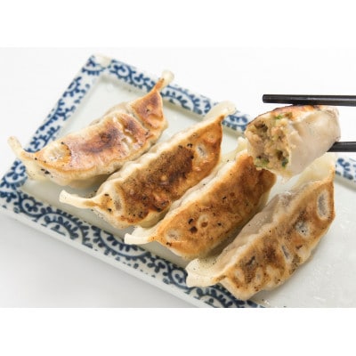 鶏白湯の最高峰を食せ!特級鶏蕎麦龍介「つけ蕎麦+餃子」セット