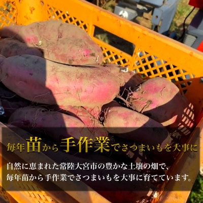 【数量限定】新聞で紹介されました 平均糖度80度以上 ねっとり 茨城県産 紅はるか 丸干し 250g