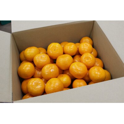 中能登町産　なかのと姫みかん　3.5kg