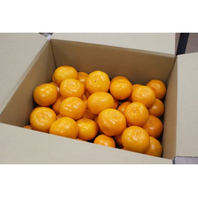 中能登町産　なかのと姫みかん　3.5kg