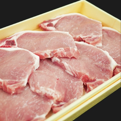 能登豚を堪能!石川県内産豚肉 ローステキカツ