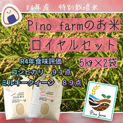 令和4年産　Pino farmのお米　ロイヤルセット　5kg×2種　10kg　精米
