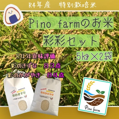令和4年産　Pino farmのお米　彩彩セット　5kg×2種　10kg　精米