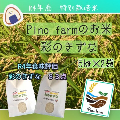 令和4年産　Pino　farmのお米　彩のきずな　5kg×2袋　10kg　精米