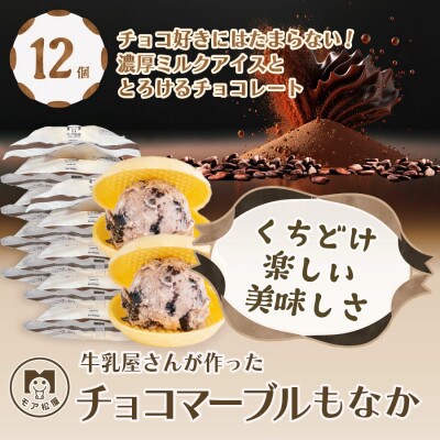 【2023年2月～5月発送】くちどけ楽しい　チョコマーブルアイスクリームもなか | 12個入り