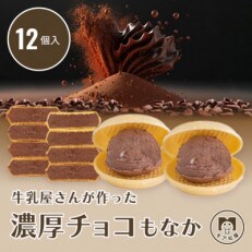 【2023年2月～5月発送】 カカオ香る 人気のチョコレートアイスクリームもなか |12個入り | ふるさと納税のお礼品