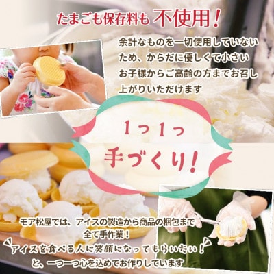 牛乳屋さんが作ったアイスクリーム　レアチーズアイスもなか | 10個入り