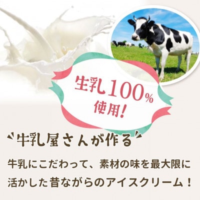 牛乳屋さんが作ったアイスクリーム　レアチーズアイスもなか | 10個入り