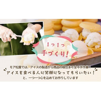 〈 バレンタイン配送 〉牛乳屋さんが作ったアイスクリーム 2種類のチョコレートアイスもなか|10個入