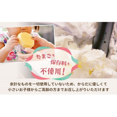 〈 バレンタイン配送 〉牛乳屋さんが作ったアイスクリーム 2種類のチョコレートアイスもなか|10個入