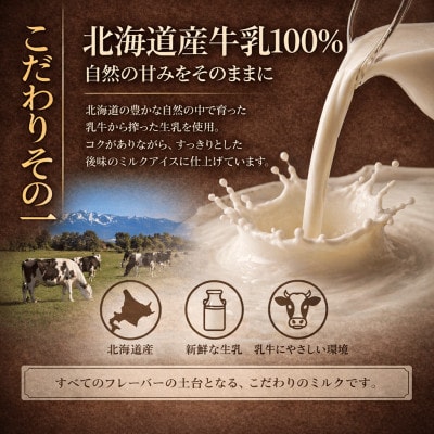 【卵・保存料不使用】牛乳屋さんが作ったアイスクリーム モア松屋の大人気アイス 詰め合わせ セット