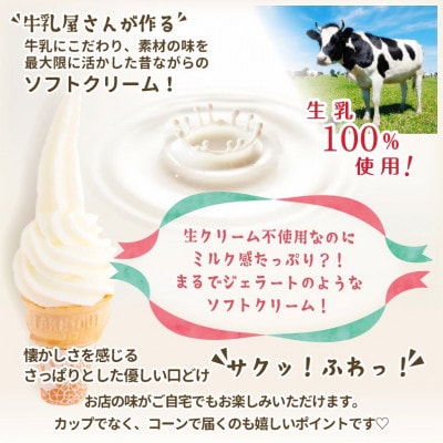 【卵・保存料不使用】牛乳屋さんが作ったアイスクリーム モア松屋の大人気アイス 詰め合わせ セット