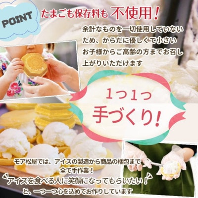 牛乳屋さんが作ったアイスクリーム　レアチーズアイスもなか(10個入り)